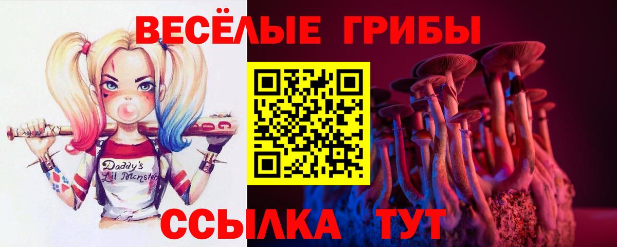 Псилоцибиновые грибы MAGIC MUSHROOMS  Вход с VPN  Ижевск 